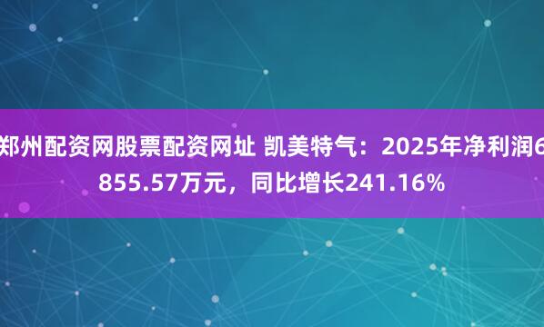 郑州配资网股票配资网址 凯美特气：2025年净利润6855.57万元，同比增长241.16%